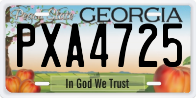 GA license plate PXA4725