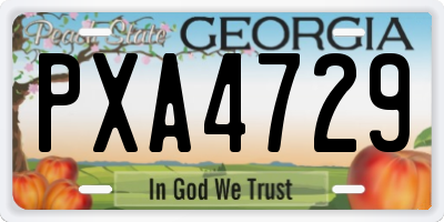 GA license plate PXA4729