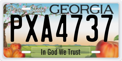 GA license plate PXA4737