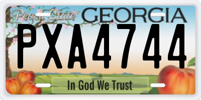 GA license plate PXA4744