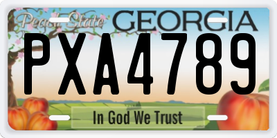 GA license plate PXA4789