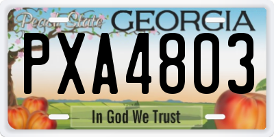 GA license plate PXA4803