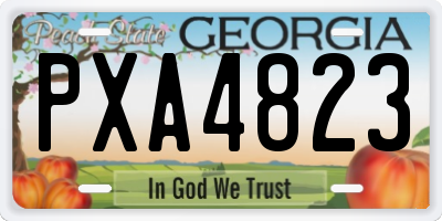 GA license plate PXA4823