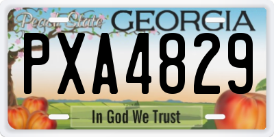 GA license plate PXA4829