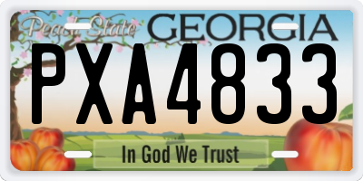 GA license plate PXA4833