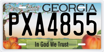 GA license plate PXA4855