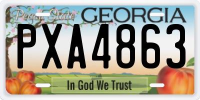 GA license plate PXA4863