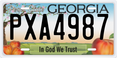 GA license plate PXA4987
