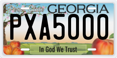 GA license plate PXA5000