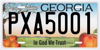 GA license plate PXA5001