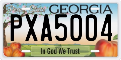 GA license plate PXA5004