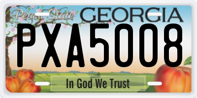 GA license plate PXA5008