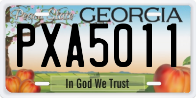 GA license plate PXA5011