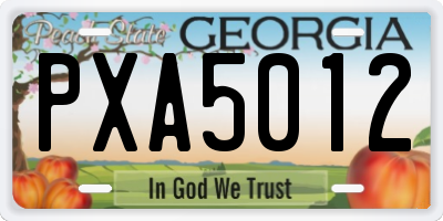 GA license plate PXA5012