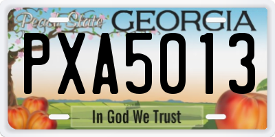 GA license plate PXA5013