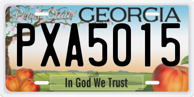 GA license plate PXA5015