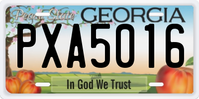 GA license plate PXA5016