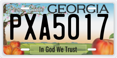 GA license plate PXA5017