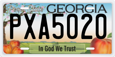 GA license plate PXA5020
