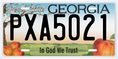GA license plate PXA5021