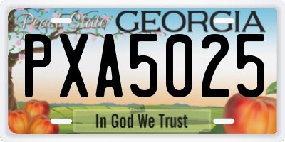 GA license plate PXA5025