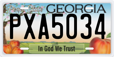 GA license plate PXA5034