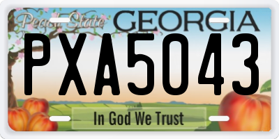 GA license plate PXA5043
