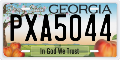 GA license plate PXA5044