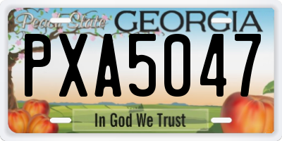 GA license plate PXA5047