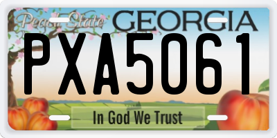 GA license plate PXA5061