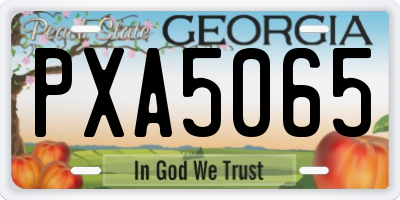 GA license plate PXA5065