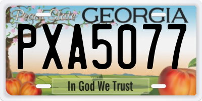 GA license plate PXA5077