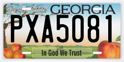 GA license plate PXA5081
