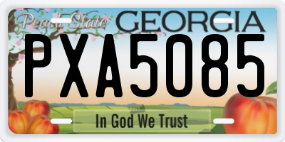 GA license plate PXA5085