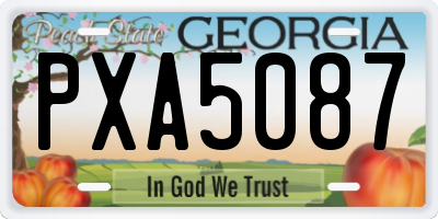 GA license plate PXA5087