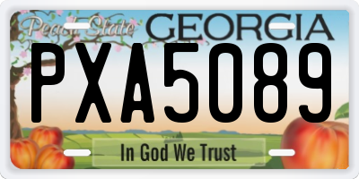 GA license plate PXA5089