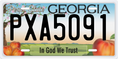 GA license plate PXA5091
