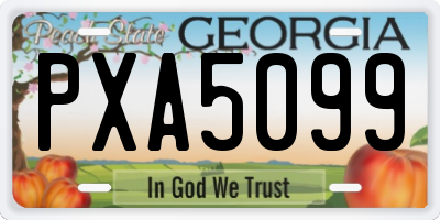 GA license plate PXA5099