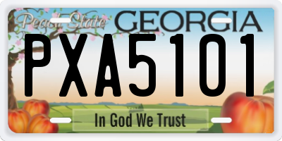 GA license plate PXA5101