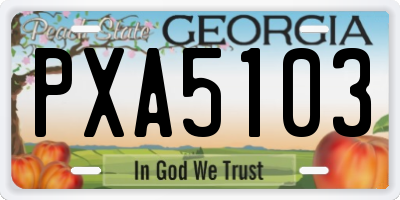 GA license plate PXA5103