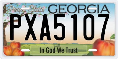 GA license plate PXA5107