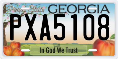 GA license plate PXA5108