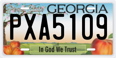 GA license plate PXA5109
