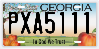 GA license plate PXA5111