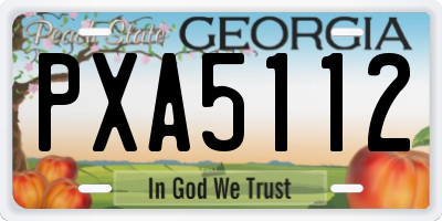 GA license plate PXA5112