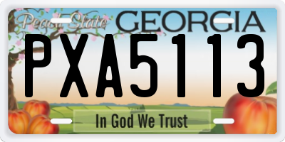 GA license plate PXA5113