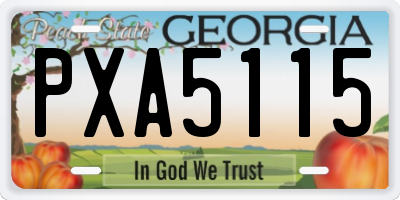 GA license plate PXA5115