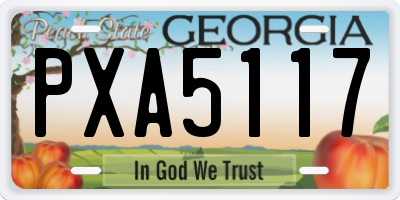 GA license plate PXA5117