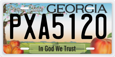 GA license plate PXA5120