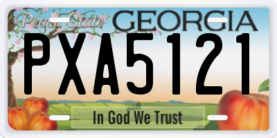 GA license plate PXA5121
